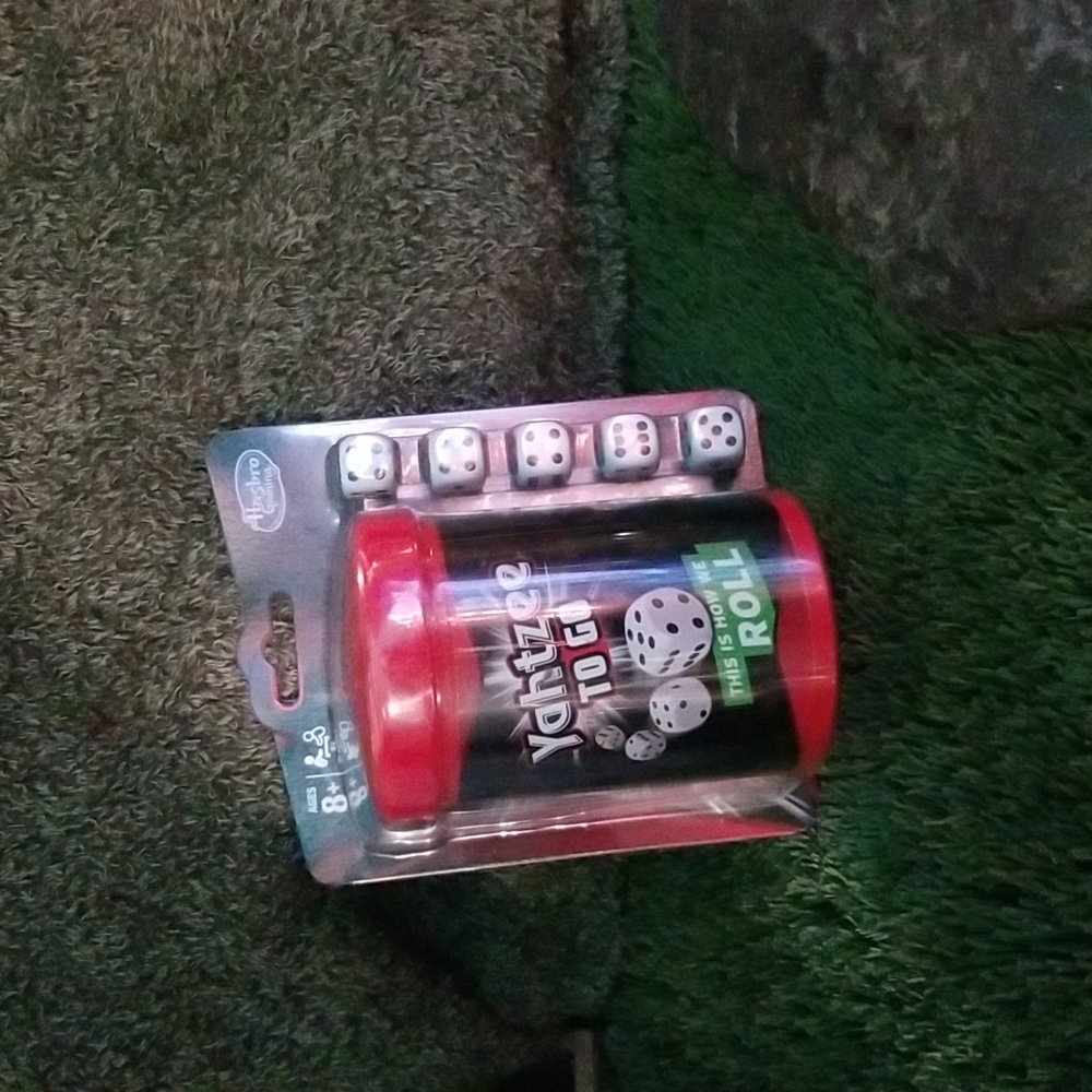 Yahtzee To Go